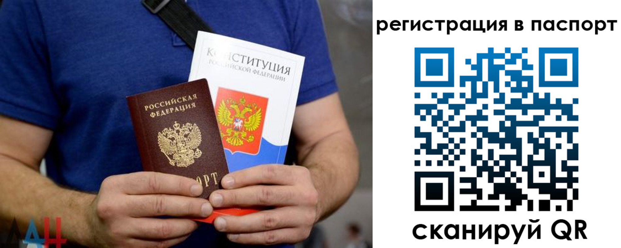 прописка гарантия в Дрезне